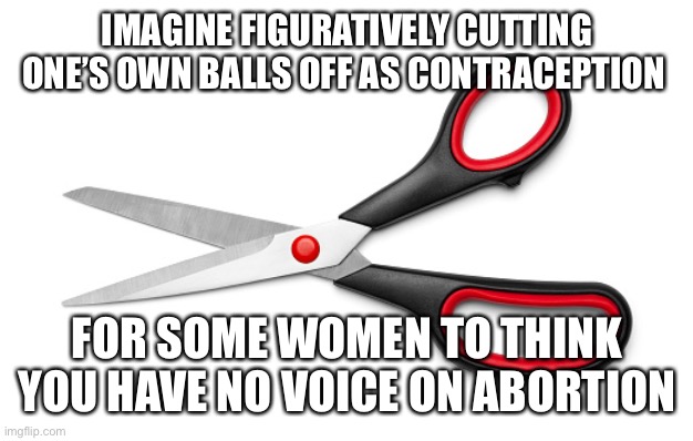 Yep |  IMAGINE FIGURATIVELY CUTTING ONE’S OWN BALLS OFF AS CONTRACEPTION; FOR SOME WOMEN TO THINK YOU HAVE NO VOICE ON ABORTION | image tagged in abortion,abortion is murder,pro choice,womens rights,memes,politics | made w/ Imgflip meme maker