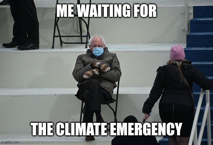 Someone Please Bring Me a Hat | ME WAITING FOR; THE CLIMATE EMERGENCY | image tagged in bernie sitting | made w/ Imgflip meme maker