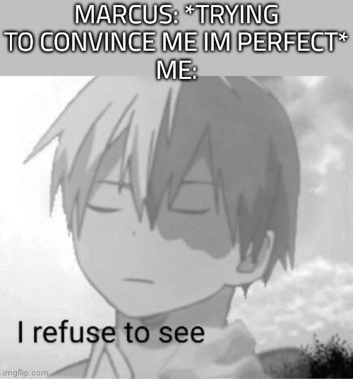 I refuse to see | MARCUS: *TRYING TO CONVINCE ME IM PERFECT*
ME: | image tagged in i refuse to see | made w/ Imgflip meme maker