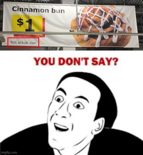 That one person disappointed his cinnamon bun wasn't six feet long: | image tagged in you don't say,memes,funny,cats,gifs,duh | made w/ Imgflip meme maker