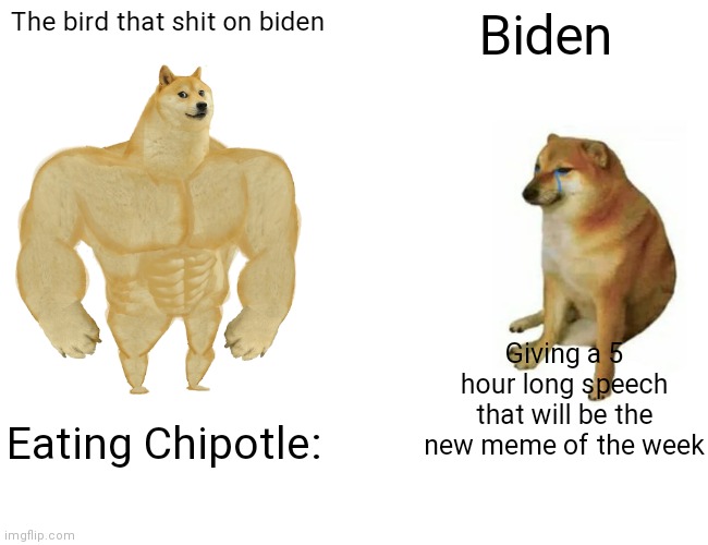 Buff Doge vs. Cheems | The bird that shit on biden; Biden; Giving a 5 hour long speech that will be the new meme of the week; Eating Chipotle: | image tagged in memes,buff doge vs cheems | made w/ Imgflip meme maker