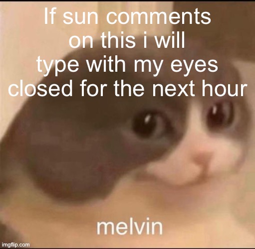 because it’s fun | If sun comments on this i will type with my eyes closed for the next hour | image tagged in melvin | made w/ Imgflip meme maker