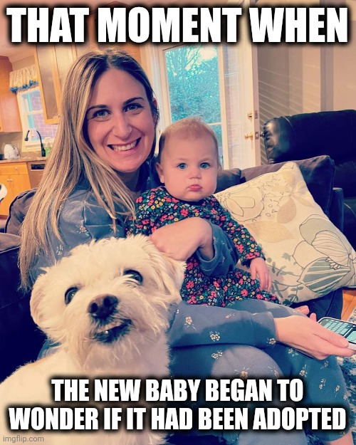 Wait a minute... | THAT MOMENT WHEN; THE NEW BABY BEGAN TO WONDER IF IT HAD BEEN ADOPTED | image tagged in memes,smiling dog,baby,adopted | made w/ Imgflip meme maker