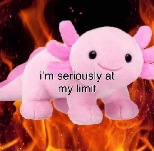 At my limit | image tagged in at my limit | made w/ Imgflip meme maker