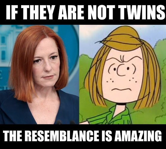 IF THEY ARE NOT TWINS; THE RESEMBLANCE IS AMAZING | image tagged in little red lying hood | made w/ Imgflip meme maker