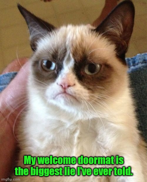It should say, "Go home." | My welcome doormat is the biggest lie I've ever told. | image tagged in memes,grumpy cat,funny | made w/ Imgflip meme maker