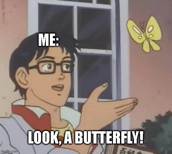anti meme | ME:; LOOK, A BUTTERFLY! | image tagged in memes,is this a pigeon | made w/ Imgflip meme maker