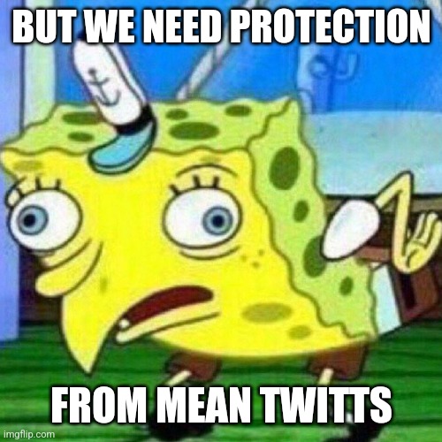 triggerpaul | BUT WE NEED PROTECTION FROM MEAN TWITTS | image tagged in triggerpaul | made w/ Imgflip meme maker