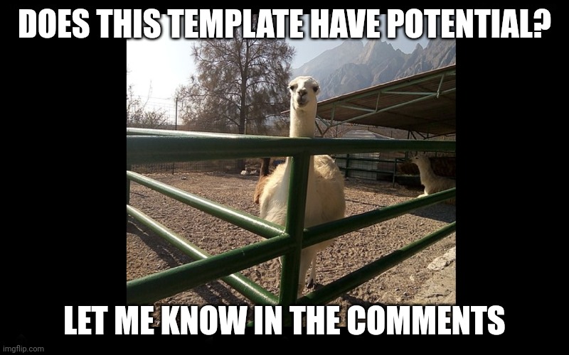 Llama staring | DOES THIS TEMPLATE HAVE POTENTIAL? LET ME KNOW IN THE COMMENTS | image tagged in llama staring | made w/ Imgflip meme maker
