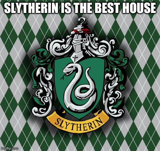 slytherin | SLYTHERIN IS THE BEST HOUSE | image tagged in slytherin | made w/ Imgflip meme maker
