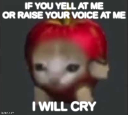 IF YOU YELL AT ME OR RAISE YOUR VOICE AT ME; I WILL CRY | made w/ Imgflip meme maker