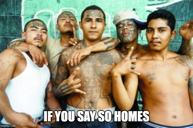 mexican gang members | IF YOU SAY SO HOMES | image tagged in mexican gang members | made w/ Imgflip meme maker