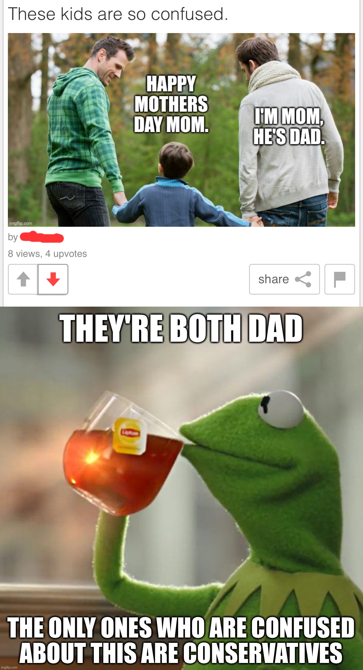 THEY'RE BOTH DAD; THE ONLY ONES WHO ARE CONFUSED ABOUT THIS ARE CONSERVATIVES | image tagged in memes,but that's none of my business | made w/ Imgflip meme maker