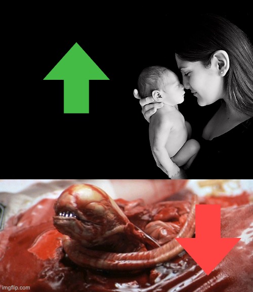 image tagged in mother and baby,alien chestburster,women's rights,motherhood,pregnancy | made w/ Imgflip meme maker