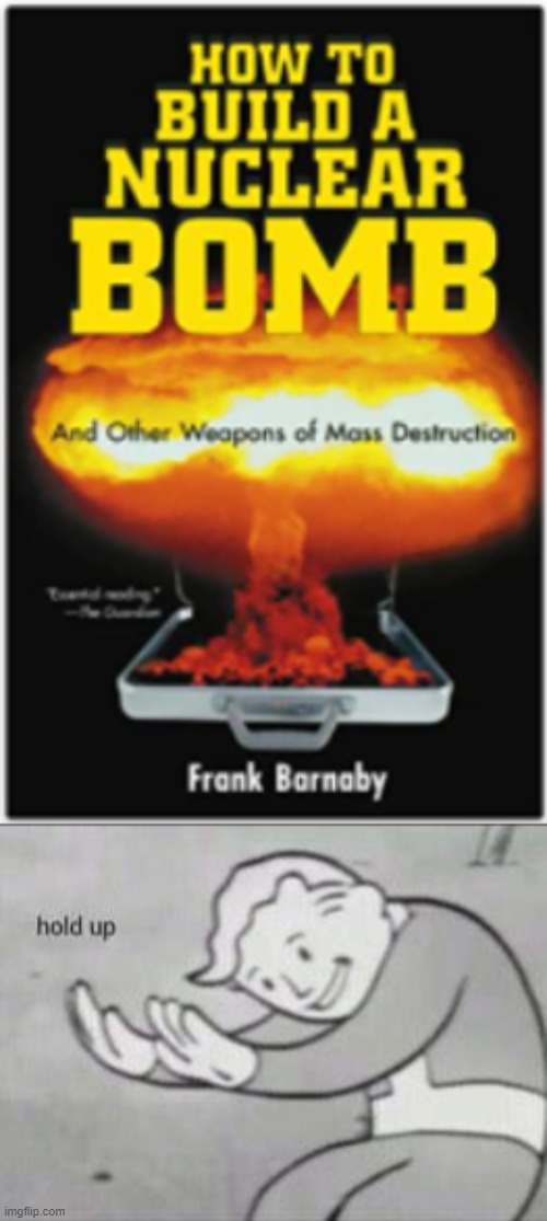why just why | image tagged in fallout hold up,nuclear bomb | made w/ Imgflip meme maker