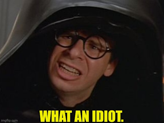 Spaceballs - Dark Helmet | WHAT AN IDIOT. | image tagged in spaceballs - dark helmet | made w/ Imgflip meme maker