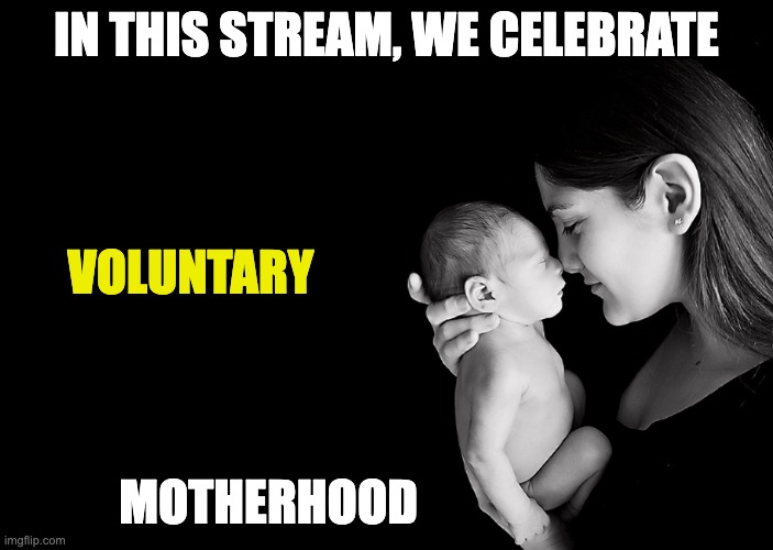 Mother and Baby | IN THIS STREAM, WE CELEBRATE; VOLUNTARY; MOTHERHOOD | image tagged in mother and baby,holidays,mothers day,women's rights,abortion,motherhood | made w/ Imgflip meme maker