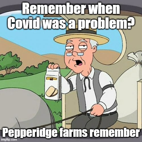 I did, but now its Russia and Ukraine | Remember when Covid was a problem? Pepperidge farms remember | image tagged in memes,pepperidge farm remembers,covid,deflect | made w/ Imgflip meme maker