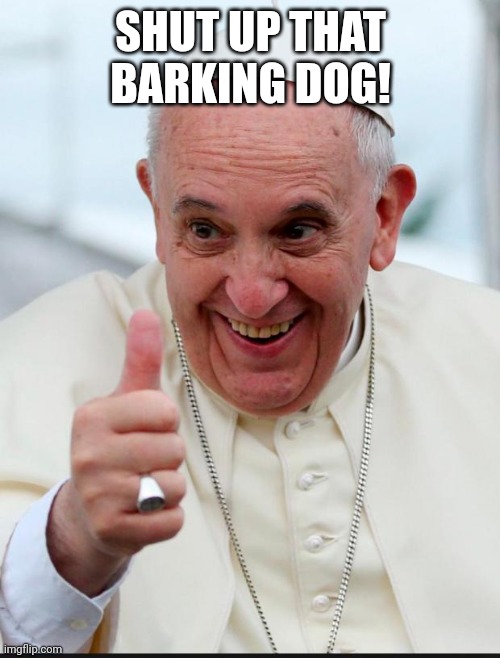 Pope calls NATO a barking dog | SHUT UP THAT BARKING DOG! | image tagged in yes because i love the pope | made w/ Imgflip meme maker