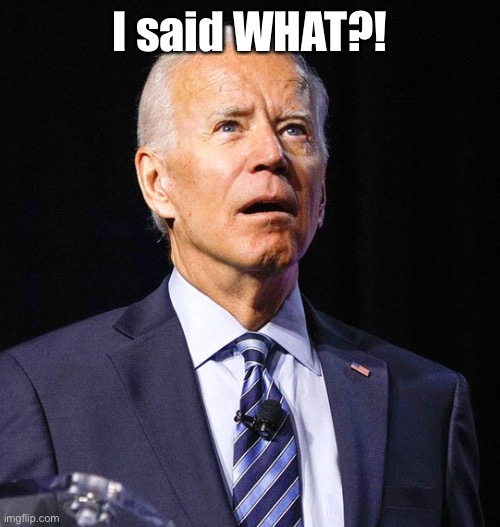 Joe Biden | I said WHAT?! | image tagged in joe biden | made w/ Imgflip meme maker