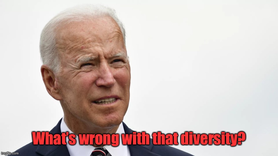 Biden squint | What’s wrong with that diversity? | image tagged in biden squint | made w/ Imgflip meme maker