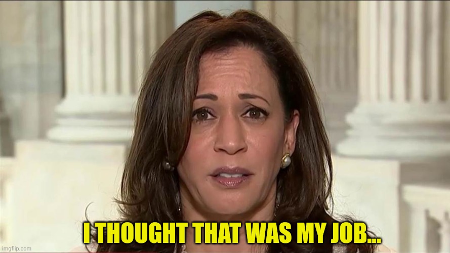 kamala harris | I THOUGHT THAT WAS MY JOB... | image tagged in kamala harris | made w/ Imgflip meme maker