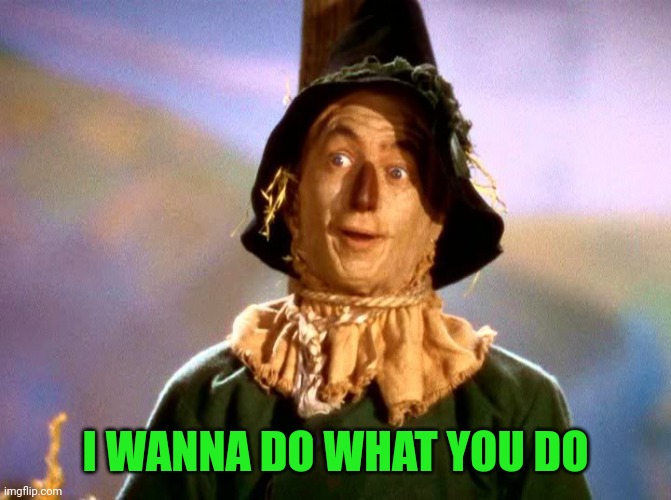 Wizard of Oz Scarecrow | I WANNA DO WHAT YOU DO | image tagged in wizard of oz scarecrow | made w/ Imgflip meme maker
