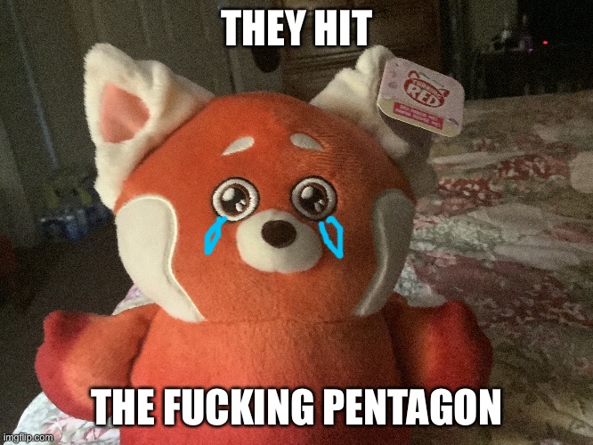 THEY HIT THE FUCKING PENTAGON :( | THEY HIT; THE FUCKING PENTAGON | image tagged in memes,funny | made w/ Imgflip meme maker