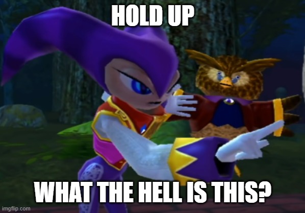 Remember NiGHTS into Dreams? | HOLD UP; WHAT THE HELL IS THIS? | image tagged in sega,memes,funny | made w/ Imgflip meme maker