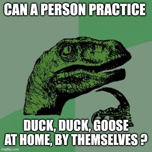Practice Makes Perfect | CAN A PERSON PRACTICE DUCK, DUCK, GOOSE AT HOME, BY THEMSELVES ? | image tagged in memes,philosoraptor | made w/ Imgflip meme maker