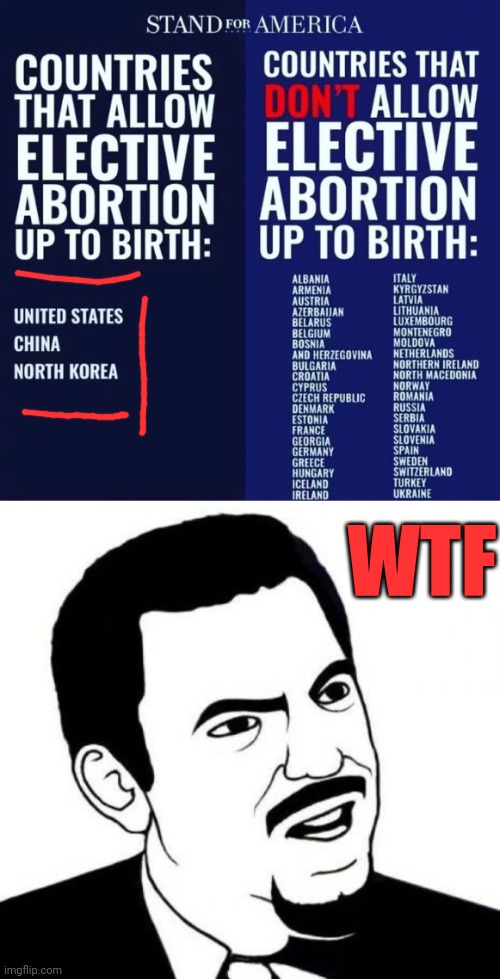 Great Company to be in | WTF | image tagged in seriously face,abortion,china,north korea,united states,abortion is murder | made w/ Imgflip meme maker