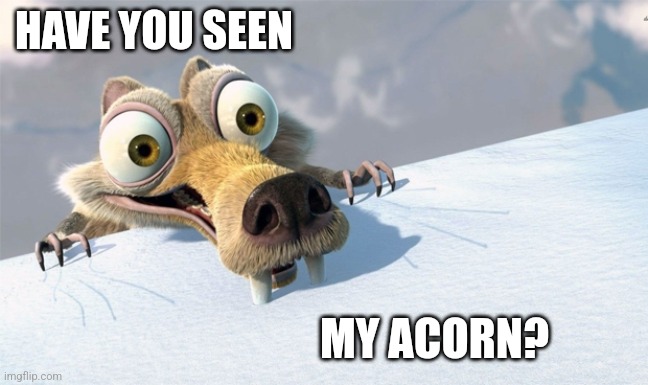 scrat ice age | HAVE YOU SEEN MY ACORN? | image tagged in scrat ice age | made w/ Imgflip meme maker