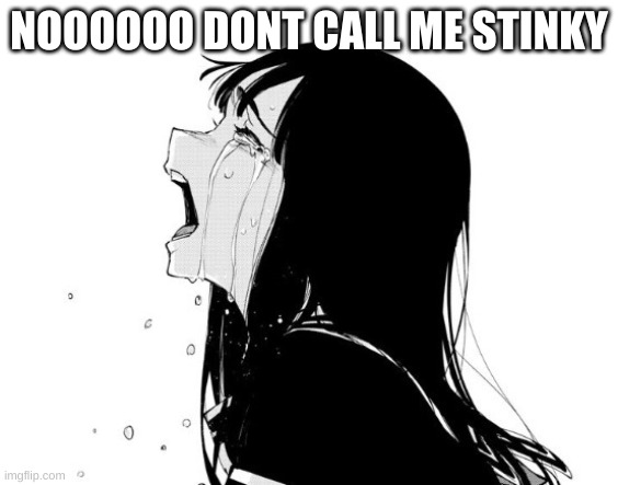 Crying Aya Asagiri | NOOOOOO DONT CALL ME STINKY | image tagged in crying aya asagiri | made w/ Imgflip meme maker