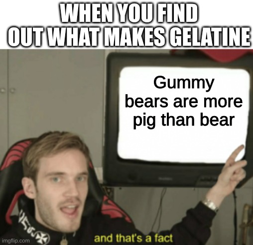 Gelatine is pig fat | WHEN YOU FIND OUT WHAT MAKES GELATINE; Gummy bears are more pig than bear | image tagged in and that's a fact,funny,memes,gummy bears | made w/ Imgflip meme maker