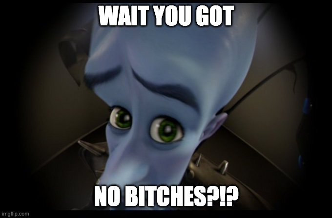 Megamind Peeking | WAIT YOU GOT; NO BITCHES?!? | image tagged in megamind no bitches | made w/ Imgflip meme maker