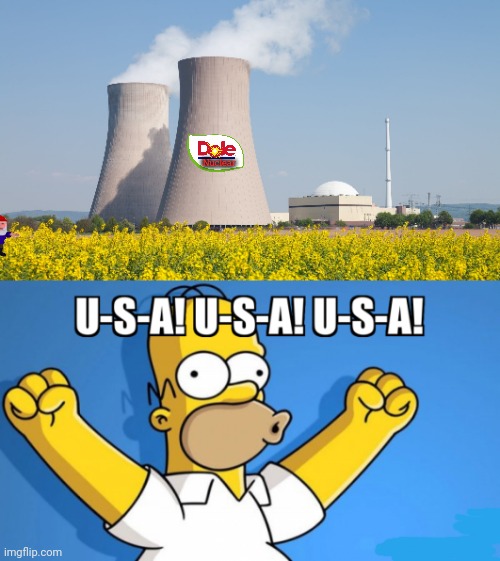We have liftoff! | Nuclear | image tagged in nuclear power,usa usa usa,your electric bills,will be going down,or up,one or the other | made w/ Imgflip meme maker