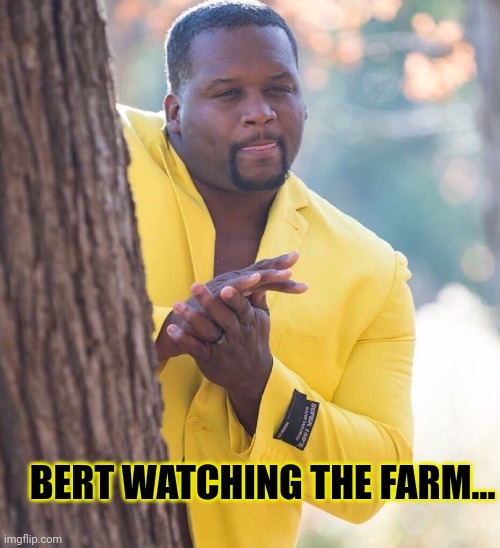 Black guy hiding behind tree | BERT WATCHING THE FARM... | image tagged in black guy hiding behind tree | made w/ Imgflip meme maker
