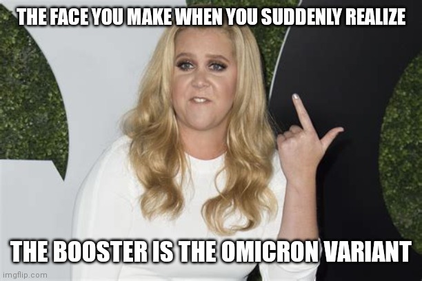AMY SCHUMER POSITIVE FOR COVID | THE FACE YOU MAKE WHEN YOU SUDDENLY REALIZE; THE BOOSTER IS THE OMICRON VARIANT | image tagged in amy schumer the face you make,amy schumer,coronavirus,covid-19,covid vaccine,covidiots | made w/ Imgflip meme maker