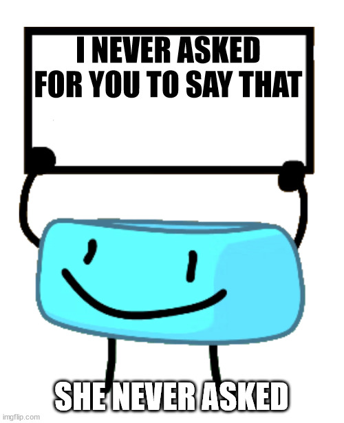 Bracelety Sign | I NEVER ASKED FOR YOU TO SAY THAT; SHE NEVER ASKED | image tagged in bracelety sign | made w/ Imgflip meme maker