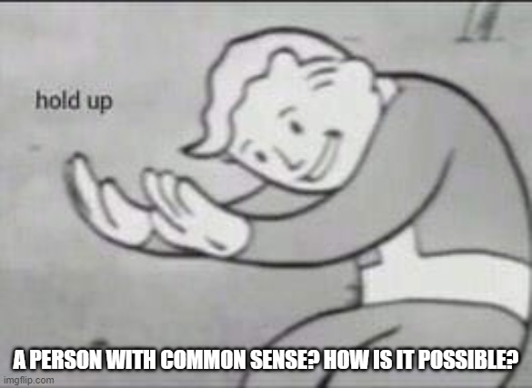 A PERSON WITH COMMON SENSE? HOW IS IT POSSIBLE? | image tagged in fallout hold up | made w/ Imgflip meme maker