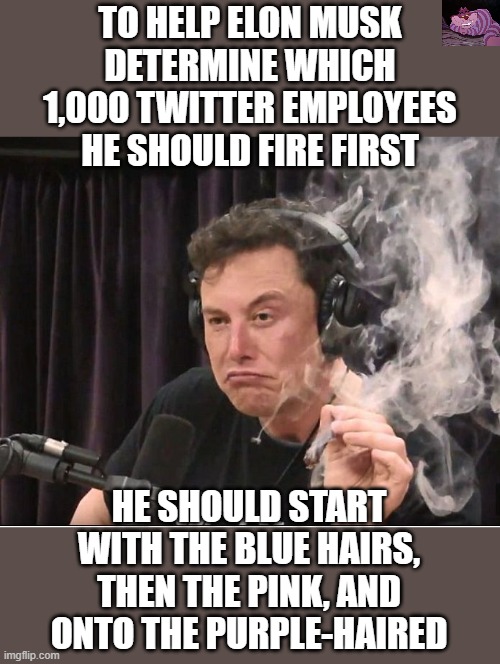 This is after he fires Parag Agrawal and Vijaya Gadde |  TO HELP ELON MUSK DETERMINE WHICH 1,000 TWITTER EMPLOYEES HE SHOULD FIRE FIRST; HE SHOULD START WITH THE BLUE HAIRS, THEN THE PINK, AND ONTO THE PURPLE-HAIRED | image tagged in elon musk smoking a joint | made w/ Imgflip meme maker