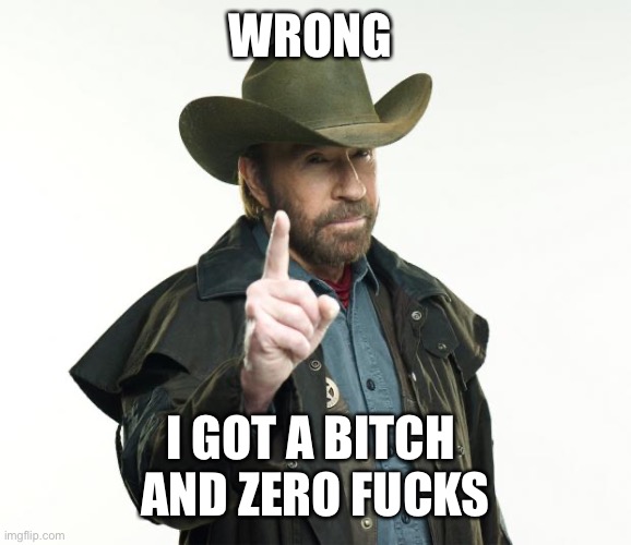 Chuck Norris Finger Meme | WRONG I GOT A BITCH 
AND ZERO FUCKS | image tagged in memes,chuck norris finger,chuck norris | made w/ Imgflip meme maker