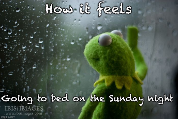 WHYYYYYY | How it feels; Going to bed on the Sunday night | image tagged in kermit window | made w/ Imgflip meme maker