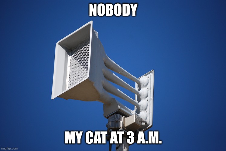 tornado siren | NOBODY; MY CAT AT 3 A.M. | image tagged in tornado siren | made w/ Imgflip meme maker
