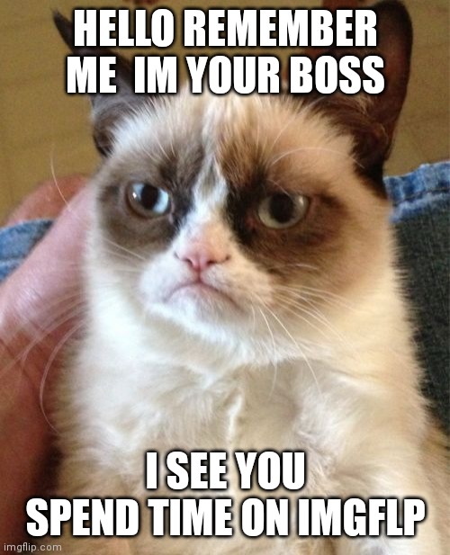 Grumpy Cat Meme | HELLO REMEMBER ME  IM YOUR BOSS I SEE YOU SPEND TIME ON IMGFLP | image tagged in memes,grumpy cat | made w/ Imgflip meme maker