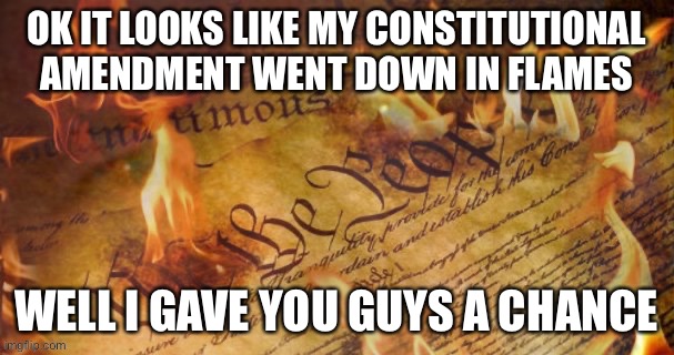 No party term limits ok! Now Conservative Party will rule forever lol! | OK IT LOOKS LIKE MY CONSTITUTIONAL AMENDMENT WENT DOWN IN FLAMES; WELL I GAVE YOU GUYS A CHANCE | image tagged in i,gave,you,guys,a,chance | made w/ Imgflip meme maker