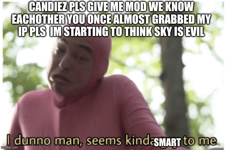 pls | CANDIEZ PLS GIVE ME MOD WE KNOW EACHOTHER YOU ONCE ALMOST GRABBED MY IP PLS  IM STARTING TO THINK SKY IS EVIL; SMART | image tagged in idk man seems kinda gay | made w/ Imgflip meme maker