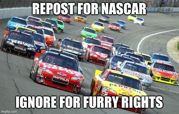 Repost for NASCAR | REPOST FOR NASCAR; IGNORE FOR FURRY RIGHTS | image tagged in nascar1 | made w/ Imgflip meme maker