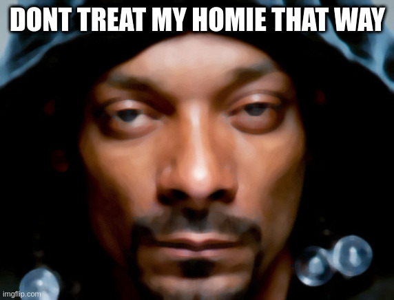 Snoop Scowl | DONT TREAT MY HOMIE THAT WAY | image tagged in snoop scowl | made w/ Imgflip meme maker