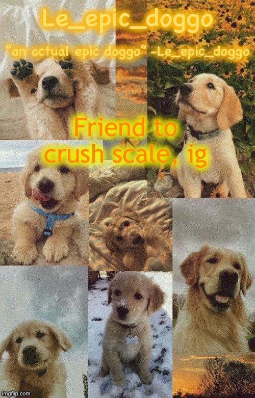 Doggo temp by doggo. Wait what that’s confusing | Friend to crush scale, ig | image tagged in doggo temp by doggo wait what that s confusing | made w/ Imgflip meme maker